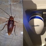 Repellio Pest Repeller Sound customer -Sem L.